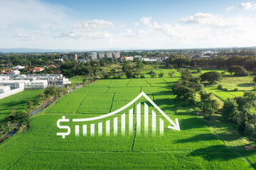 Obraz premium Land, landscape or green field in aerial view. Include bar chart or graph, drop down arrow. Real estate or property with concept for sale price, land value to decrease, reduction or negative trend. 