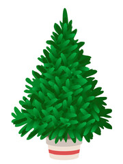 christmas tree isolated