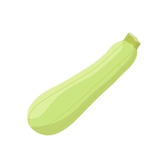 hand drawn vegetable marrow isolated on white background vector illustration