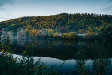 a body of water surrounded by trees