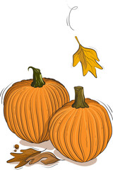 Pumpkins in autumn scene 