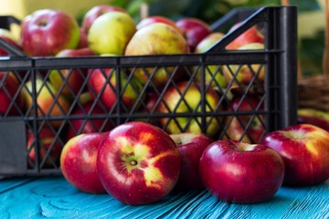 A bunch of red apples in a crate on a turquoise wooden background