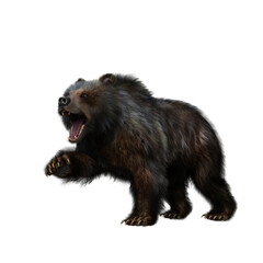 3D illustration of a grizzly bear in aggressive pose isolated on transparent background.