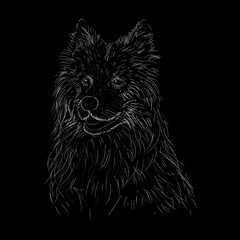 Naklejka premium SAMOYED