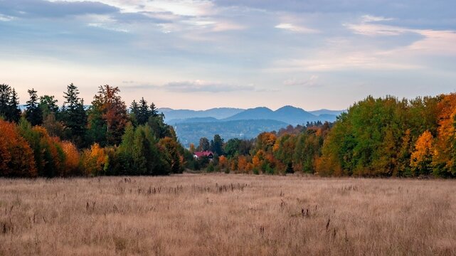 Widok na polskie g&oacute;ry
