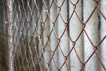 Fototapeta premium Chain-link mesh, lattice fence. mesh fence.