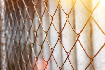 Fototapeta premium Chain-link mesh, lattice fence. mesh fence.