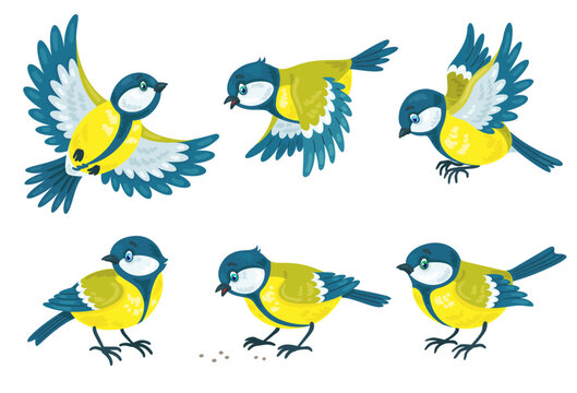 Set of six funny colorful titmouse in different poses. They sit, fly and peck. In cartoon style. Isolated on white background. Vector flat illustration.