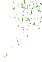 Mint Foliage Abstract Vector White Background