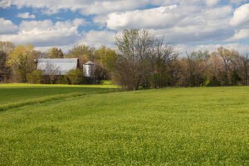 Fototapeta premium Barn and silo in the field on a sunny day