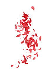 Fototapeta na wymiar Red Lotus Tender Vector White Background. Spring