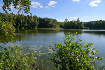 Fototapeta na wymiar Kleiner, idyllischer See im Wald umgeben von Bäumen bei Grafenrheinfeld und Röthlein, Schweinfurt, Franken, Bayern Deutschland