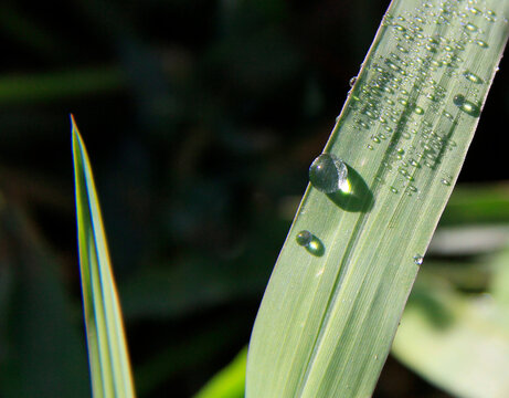 Une Goutte D Eau