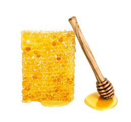Honey isolated on white or transparent background. Honeycomb and honey dipper with drop of honey.