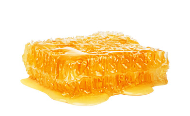 Honey isolated on white or transparent background. Honeycomb with puddle of honey.