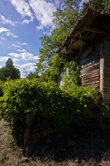 Capanna abbandonata sull'appennino bolognese