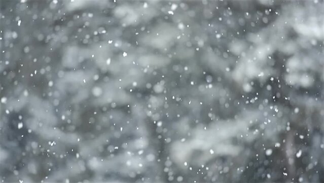 Falling snow tree in the background, soft slow motion