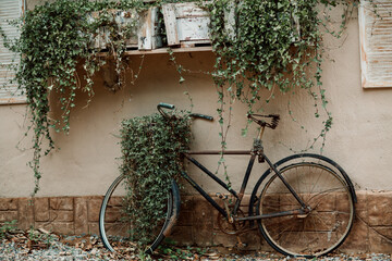 Fototapeta na wymiar Rusted antique bike with plants on it