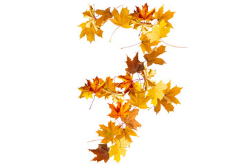 Number 7 of colorful autumn leaves. Cardinal number seven mades of fall foliage. Autumnal design font concept. Seasonal decorative beautiful type mades from multi-colored leaves