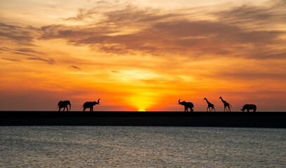 Shadows of elephants, giraffes and rhinos at sunset in the middle of the lake