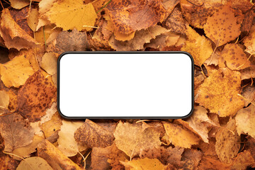 phone mockup frame is blank white on an autumn background of yellow leaves in the forest. outdoor...
