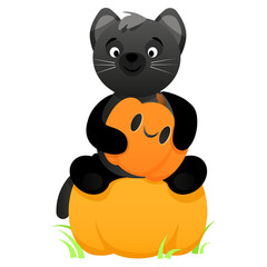Cute black cat with a pumpkin in its paws and sits on a pumpkin