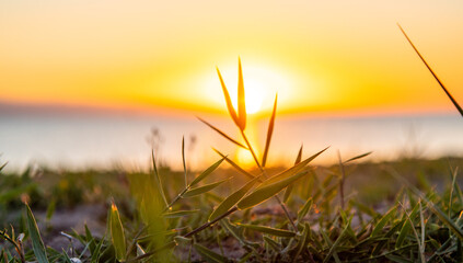Sunrise on the sea above the water,hills and dark coast in summer