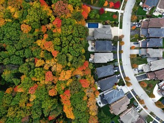 Aerial view of detached house neighbourhood community street with autumn trees surrounding