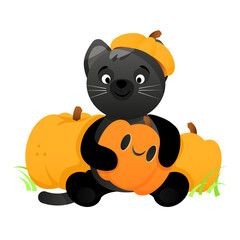 Cute black cat sits between pumpkins and with a pumpkin on his head