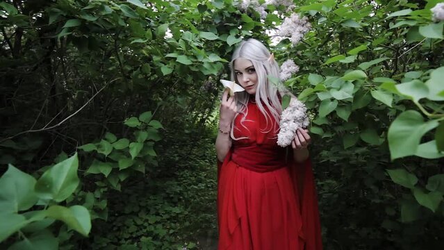 Fantastic female elf dressed in a red dress, she is in a fairy forest.