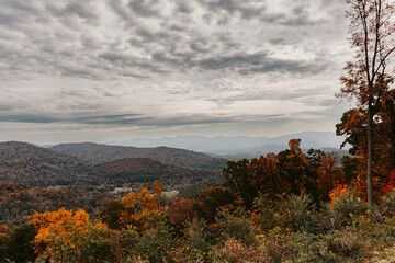Fototapeta premium Blueridge Mountains in Fall