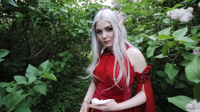 Fantastic female elf dressed in a red dress, she is in a fairy forest.