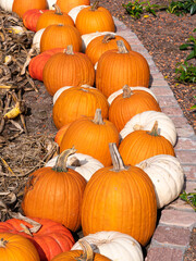 Autumn decoration with white and orange pumpkins along the wine road in Alsace, France