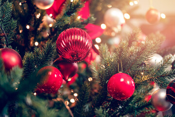 Fototapeta na wymiar Beautiful winter Christmas background panorama. Closeup red ball on spruce branch with bokeh lights banner