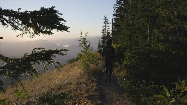 Adventurous Woman Hiking in Canadian Landscape with Fall Colors during sunny sunset. Elk Mountain, Chilliwack, East of Vancouver, British Columbia, Canada. Adventure Travel Concept. Slow Motion