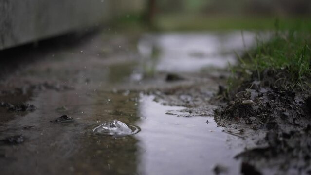 raindrops dripping in a muddy puddle beside a building
