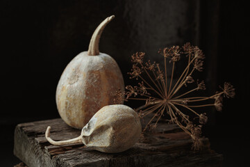 Art autumn dried Pumpkin and flowers thanksgiving still life in a rustic style on a dark wooden...