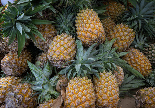 Pineapples on sale on market stall in Pointe &agrave; Pitre, Guadeloupe, French West Indies