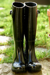 Gummistiefel mit Wassertropfen im Garten