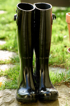 Gummistiefel mit Wassertropfen im Garten
