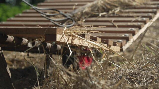 a wheelbarrow with a pitchfork and straw stands in a field