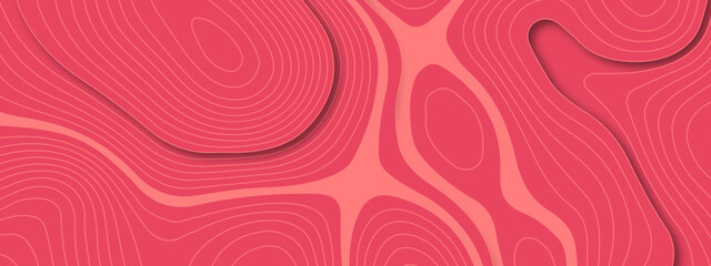 The stylized multicolored wavy abstract topographic map contour, lines Pattern background. Topographic map and landscape terrain texture grid. Wavy banner and color geometric form. Vector illustration