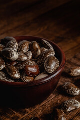 Bowl with brown scarlet runner beans on a wooden background. Side view. Close up.