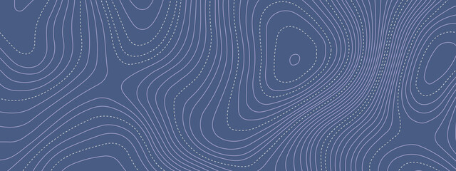 The stylized blue wavy abstract topographic map contour, lines Pattern background. Topographic map and landscape terrain texture grid. Wavy banner and color geometric form. Vector illustration