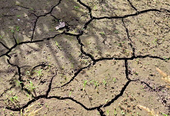 水不足でひび割れた大地