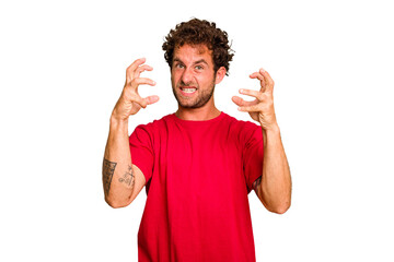Fototapeta premium Young caucasian curly hair man isolated Young caucasian man with curly hair isolated screaming with rage.