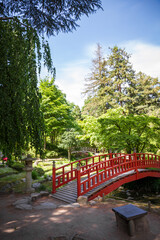 Traditional red wooden bridge on a japanese garden pond