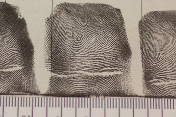 Fingerprints with forensic ruler close up