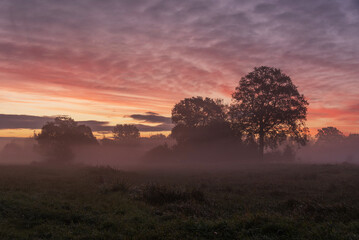 Fototapeta na wymiar Autumn misty sunrise, Poland, Silesia, Brzeszcze