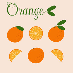 Vector illustration. Orange collection in a flat style.